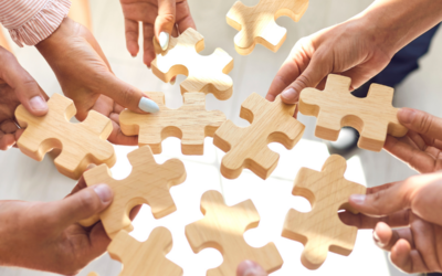 De kracht van bondgenoten